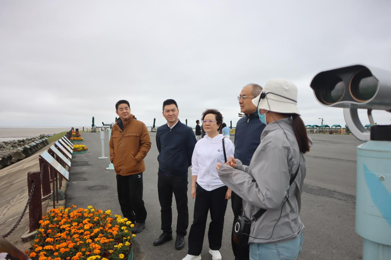 走进东台条子泥湿地，探访和谐共生的“鸟类天堂”