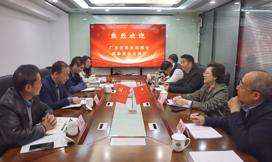 广东省林业局到访我会进行红树林和古树保护工作研讨座谈